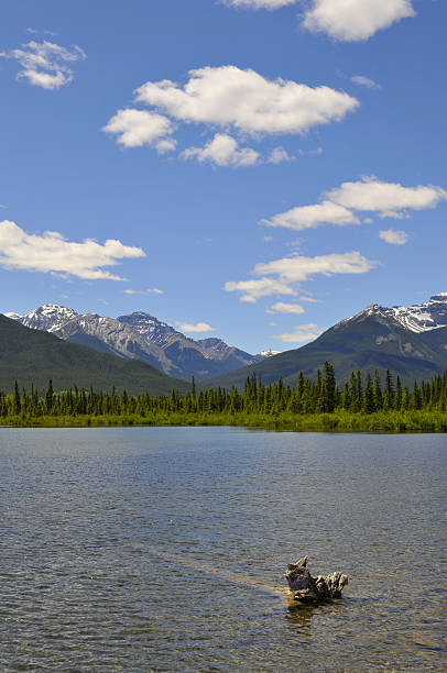 istock Canadian Lake in summer 91632239