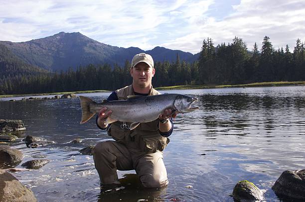 Alaskan Silver Salmon stock photo