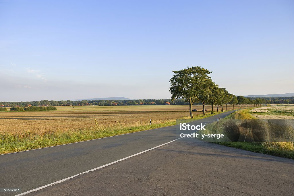 Country Road  Agricultural Field Stock Photo