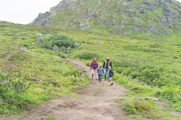 istock Family hiking on Alaska mountain 916333476