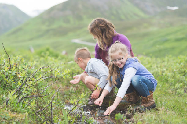 istock Mom looks for fish in a tiny Alaska stream with her two children 916333488