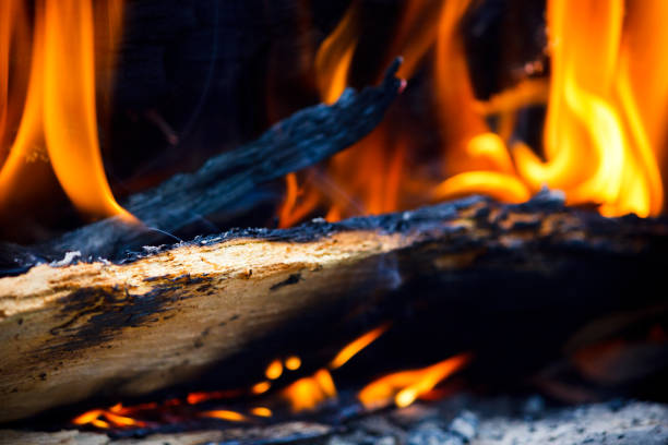 istock A large forest fire burns in the woods 916340586