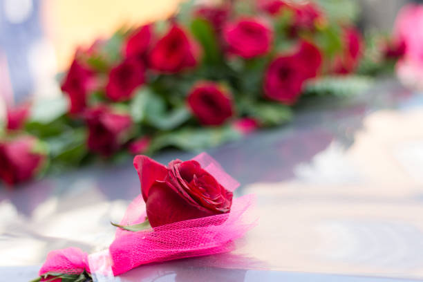istock Red Rose Flowers with Green Leaves 916345842