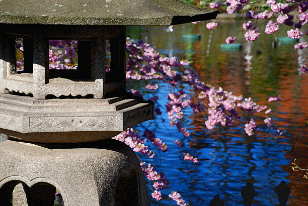 istock Oriental garden in spring time 91634726