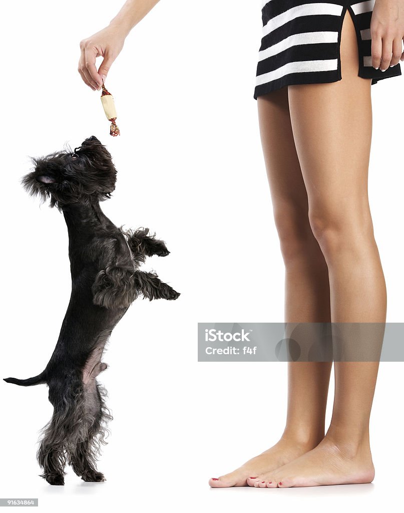 Frau und Hund - Lizenzfrei Attraktive Frau Stock-Foto
