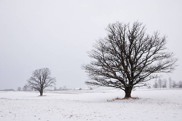 istock Countryside in the winter 91634930