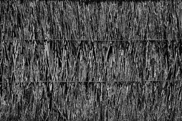 thatch roof background, hay or dry grass background, thatch roof texture - thatched roof imagens e fotografias de stock