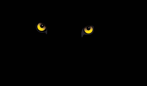 illustrazioni stock, clip art, cartoni animati e icone di tendenza di occhi leopardo nero - occhio di animale