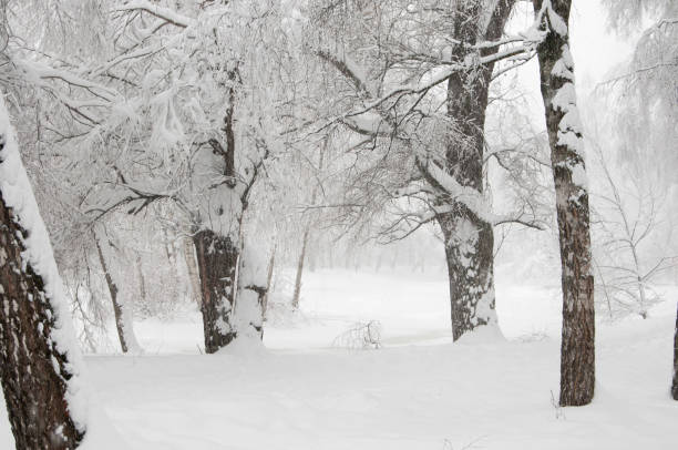 istock Winter landscape with a pond 916366212