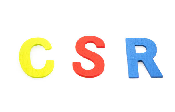 istock Pastel CSR (Corporate social responsibility) wooden letters on white 916372818