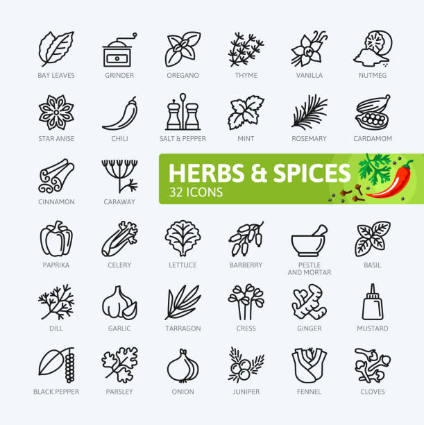 gewürze, gewürze und kräuter - gliederung symbolsammlung - spice vanilla ginger pepper stock-grafiken, -clipart, -cartoons und -symbole