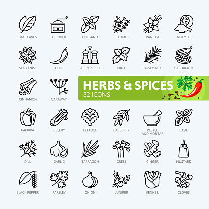Spices, condiments and herbs  - minimal thin line web icon set. Outline icons collection. Simple vector illustration.
