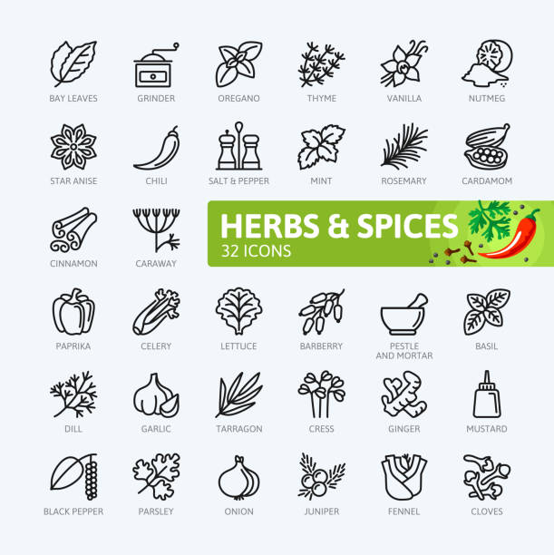 Spices, condiments and herbs  - outline icons collection Spices, condiments and herbs  - minimal thin line web icon set. Outline icons collection. Simple vector illustration. seasoning stock illustrations