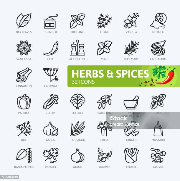 Spices Condiments And Herbs Outline Icons Collection Stock Illustration - Download Image Now