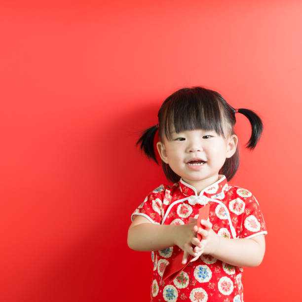 istock Chinese New Year theme 916393124