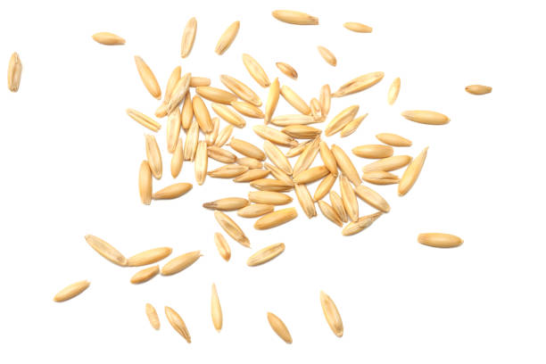 istock oat seeds isolated on white background top view 916407106