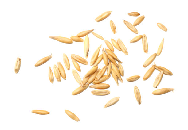 istock oat seeds isolated on white background top view 916407110