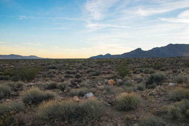 istock Arizona desert, US southwest 916407390