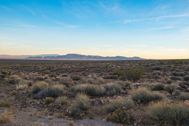 arizona wüste, südwesten der usa - sonora state stock-fotos und bilder