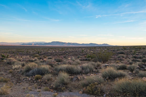 istock Arizona desert, US southwest 916407494