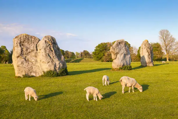 Part of the stone circle at Avebury Great Henge, a UNESCO world heritage site dating back 5000 years, in Wiltshire, England. The World Heritage Site includes several Neolithic remnants including Stoinehenge, West Kennet Long Barrow and Silbury Hill.