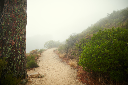 Shot of a running trail through the mountains