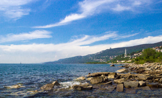 istock Panorama of Trieste - Italy 916418464