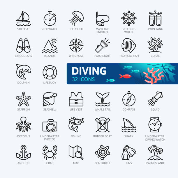 ilustrações, clipart, desenhos animados e ícones de elementos de mergulho e snorkelling - mínimos fina linha conjunto de ícones da web. coleção de ícones de contorno. ilustração em vetor simples. - vector reef coral shark