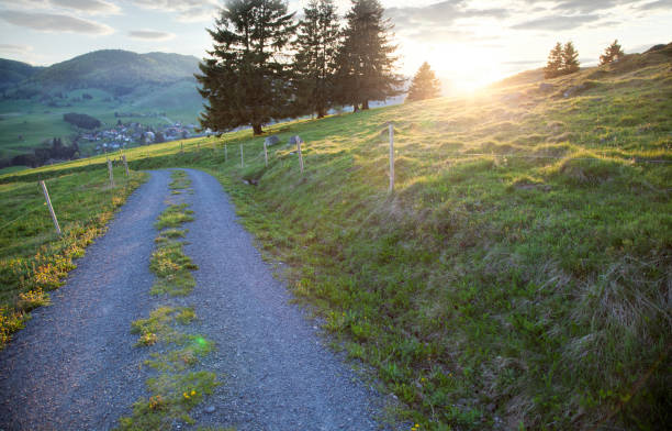istock Lonely road in a green landscape 916428568