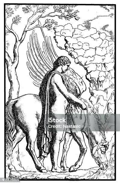 Bellerophon With Pegasus Stock Illustration - Download Image Now - 19th Century, 19th Century Style, Adult