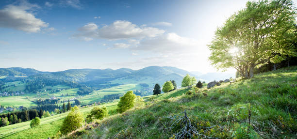 Beautiful landscape in south germany at sunset