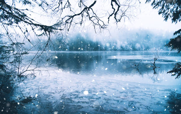 istock A mystical lake in Germany 916430454