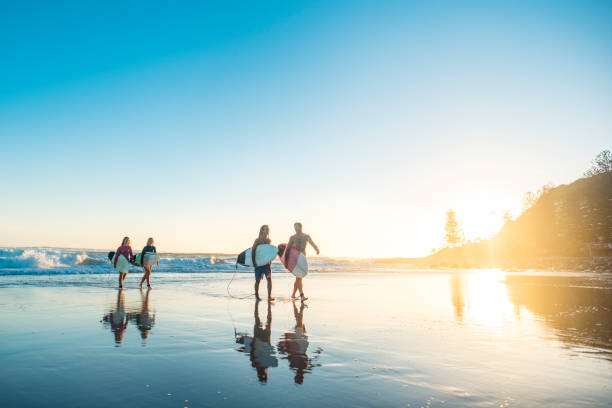 Friends getting out of the water at sunset after surfing Friends getting out of the water at sunset after surfing queensland stock pictures, royalty-free photos & images