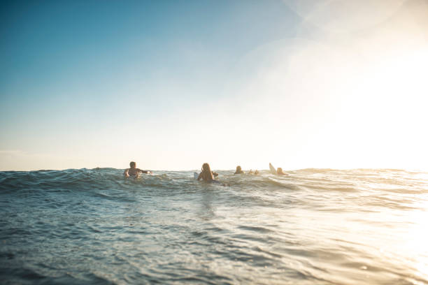 istock Friends in the water getting ready to surf 916438080
