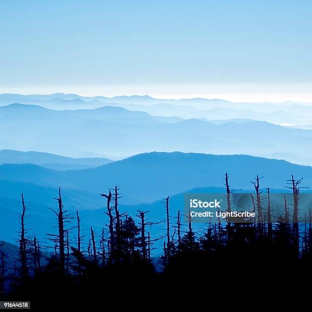 グレートスモーキー山脈国立公園 - Horizonのストックフォトや画像を多数ご用意 - Horizon, アッシュビル, アパラチア