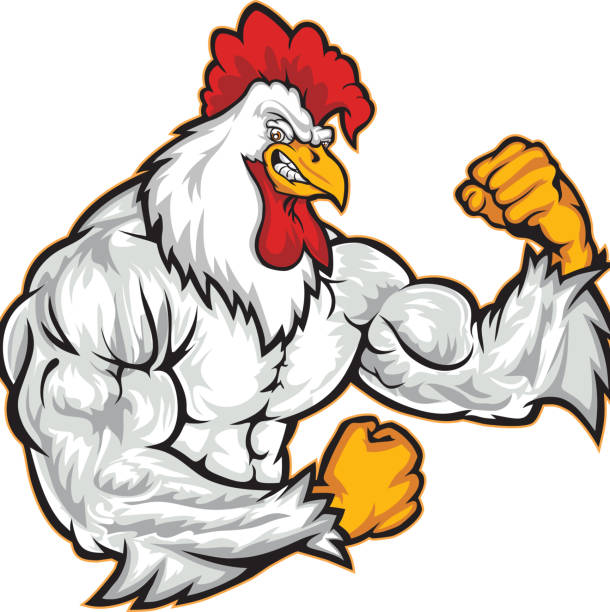 Strenght Rooster Stock Illustration - Download Image Now - Rooster, Mascot,  Chicken - Bird - iStock