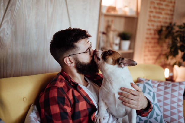 istock Cute dog kissing his owner 916449880