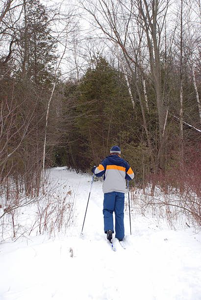 istock Cross country skier 91645480