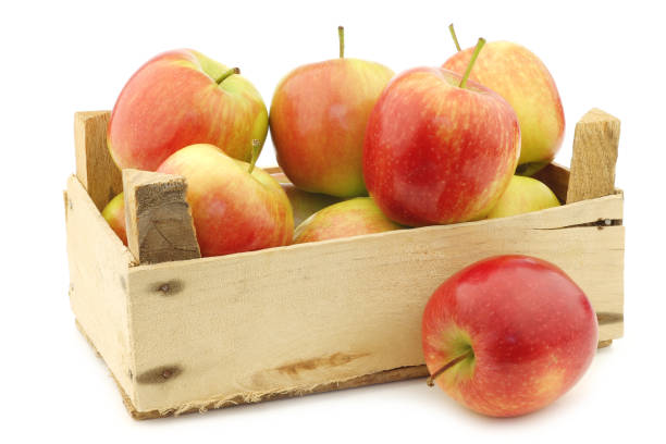 istock fresh 