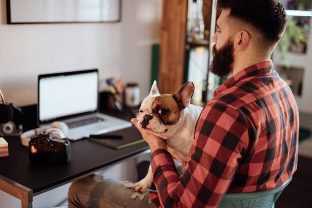 istock Man holding his dog and working from home office 916455514