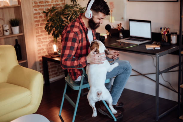 istock Cute dog jumping out of joy while his owner pets him 916455526