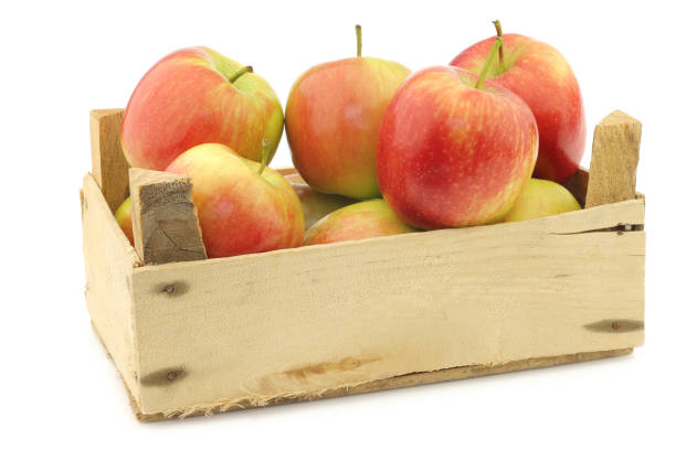 istock fresh 