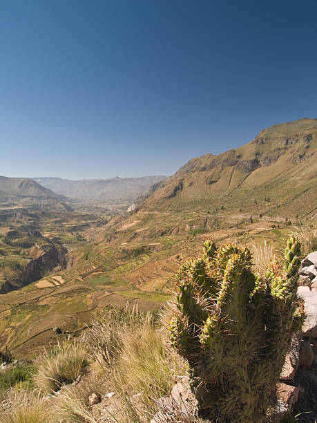 istock Panoramic view of the Colca Canyon. Peru 91645831