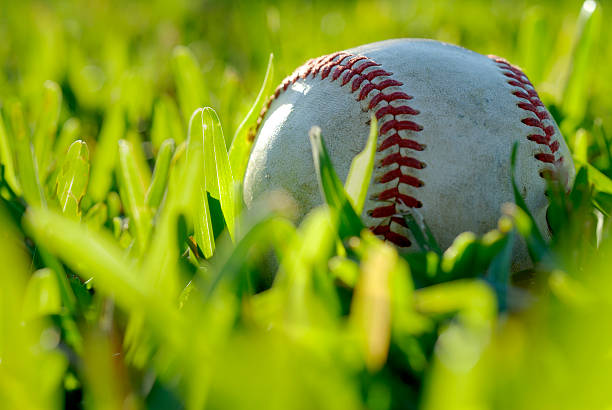 istock Home run ball laying in a grassy field 91645880