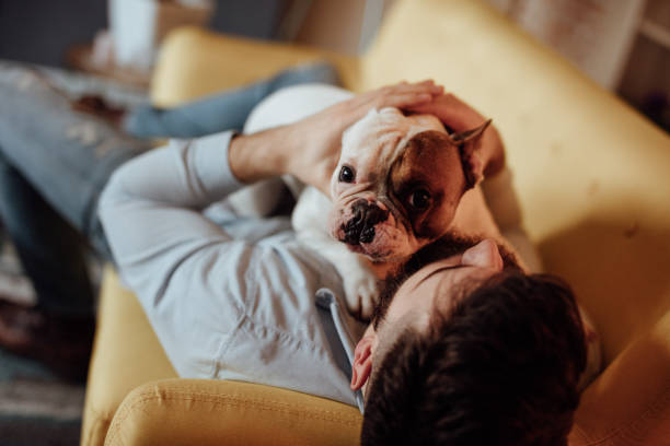 istock Man and his dog embracing on the sofa 916459528
