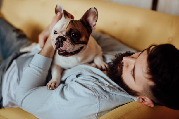 istock Man and his dog embracing on the sofa 916459668