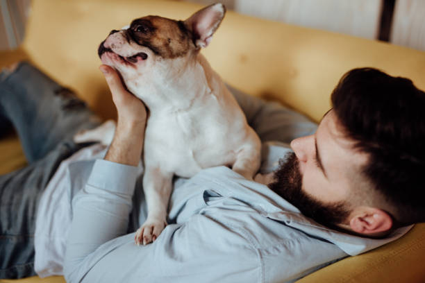 istock Man and his dog embracing on the sofa 916459672