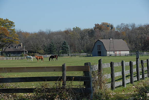 istock Horse Farm in the Fall 91646154