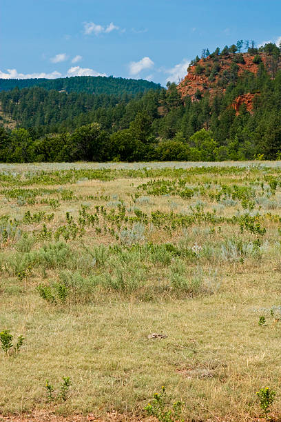 istock Red Rock Formation South Dakota 91646637