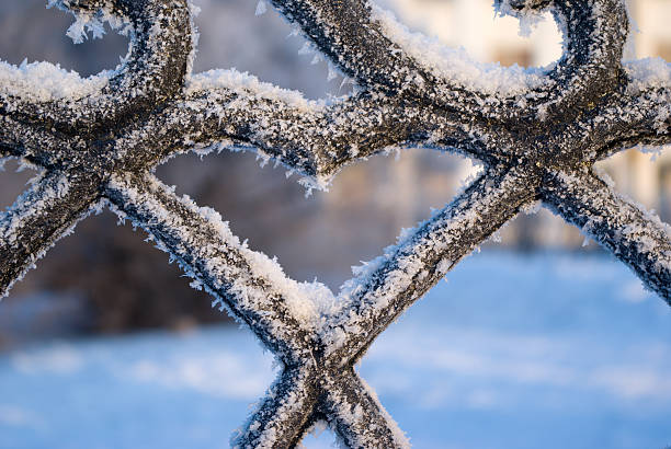 istock The Icy heart-valentine. 91646767